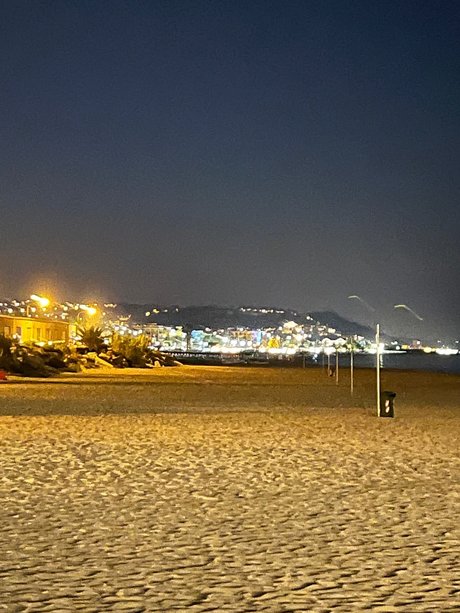 lepre star xxx pictures