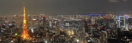 nintendopandax naked model galleries