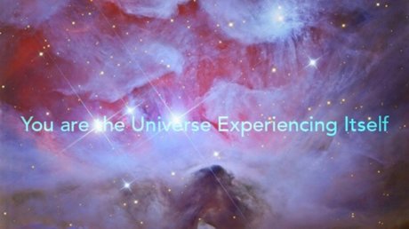 Nina Nievez sexy pornstar pics