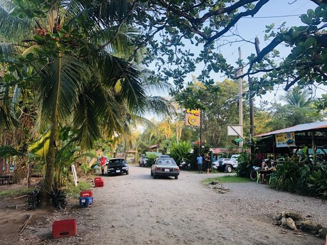 Niklaus best pornstar photos