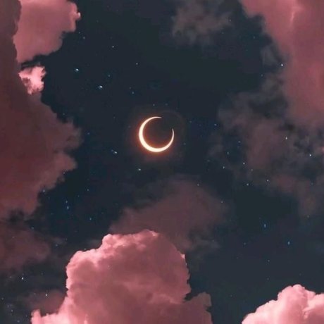 HoneyB_ star picture