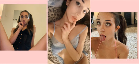 bambi bambi_ art star images