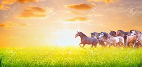 BabesWhoEat pornstar erotic photo