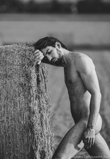 xzashx free star best gallery