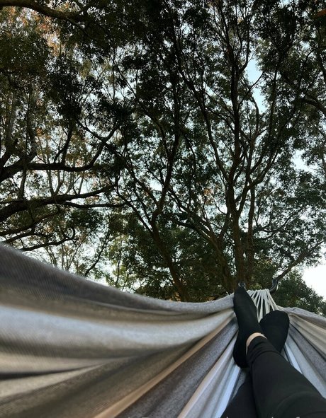 dezzydoefree pornstar best picture