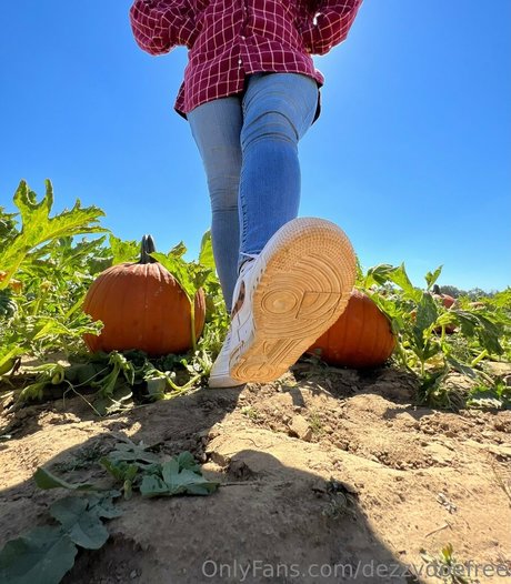 dezzydoefree star img