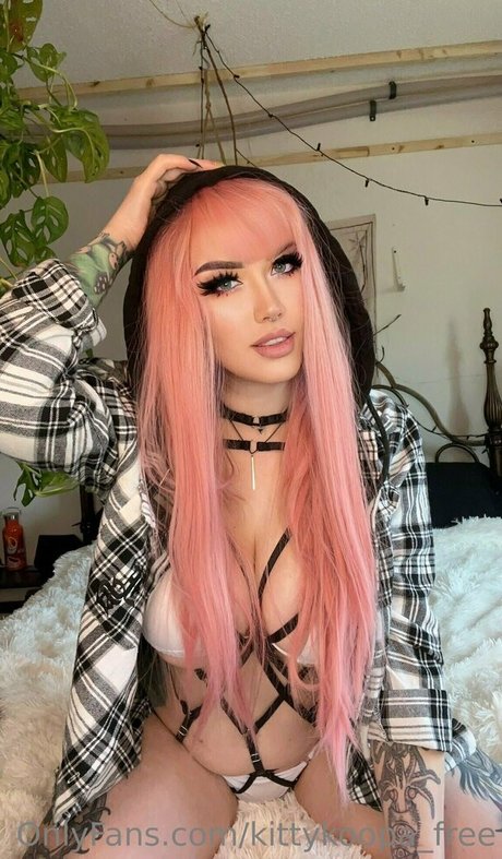 kittykoopa free free star images