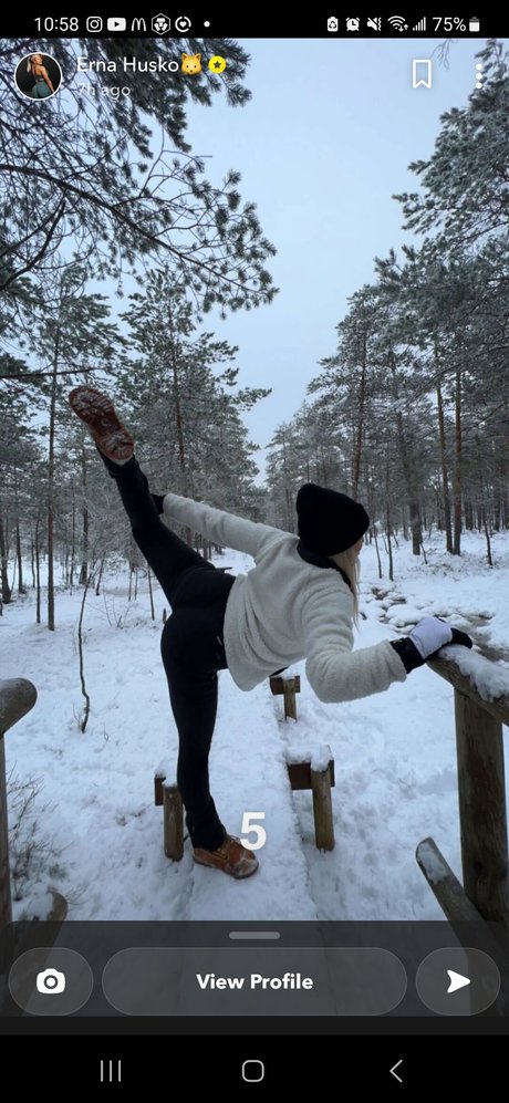 Erna Husko free pornstar img