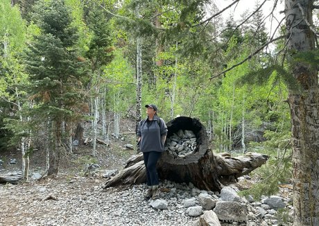 kellynakatomi nudes star pic