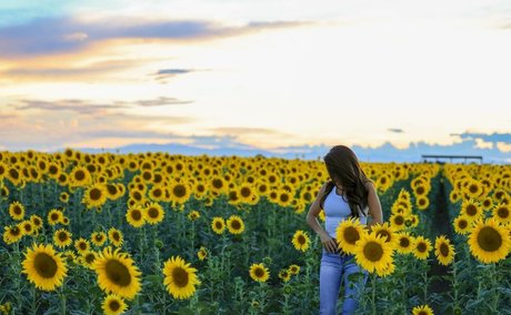 Lauren Boebert high quality model photos