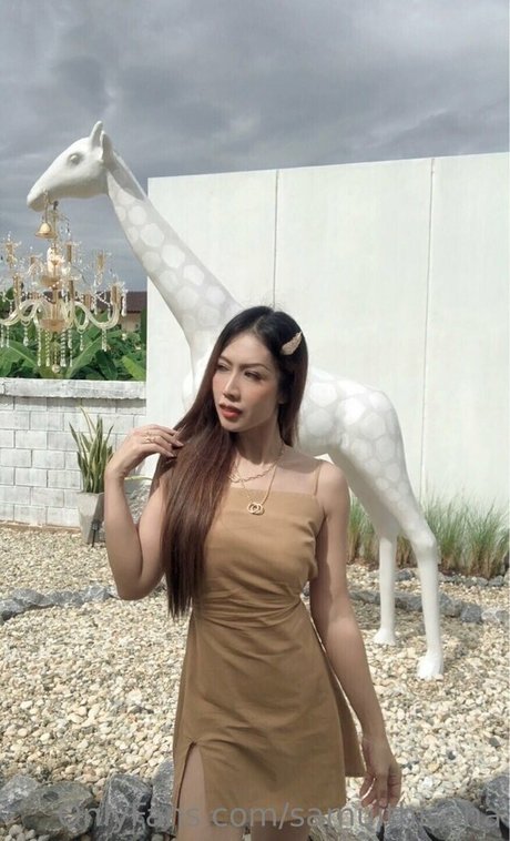 samuithisana nice star images