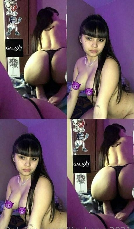 tinyboom2021 exclusive star archive