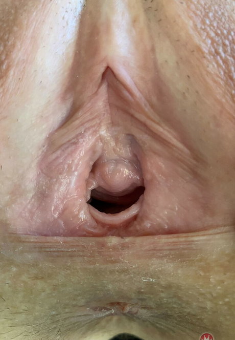 Sky Pierce star adult pic