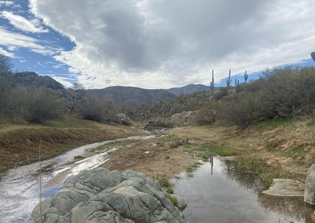 lil rayne star porn pic