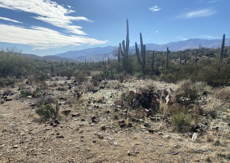 lil rayne Profile pic