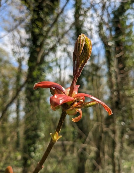 nataliewinz star best galleries