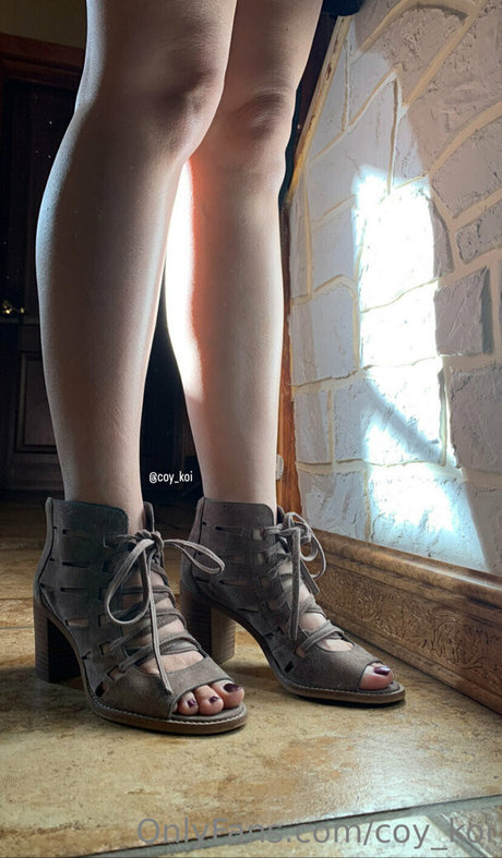 coy koi free star img