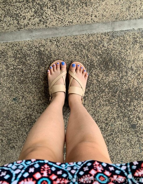 coy koi pornstar top image