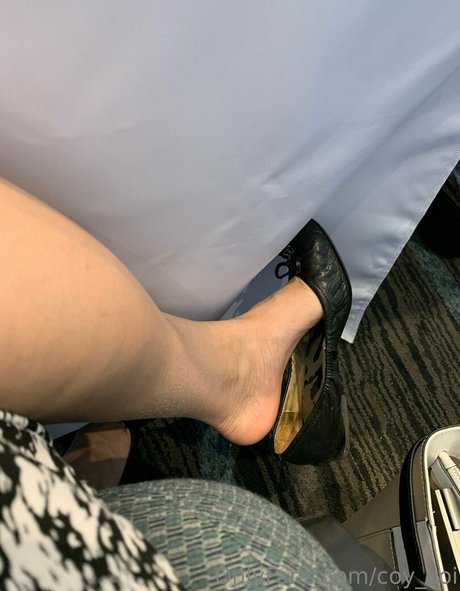 coy koi adult star pics