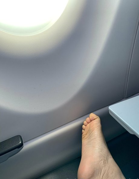 coy koi top star pictures