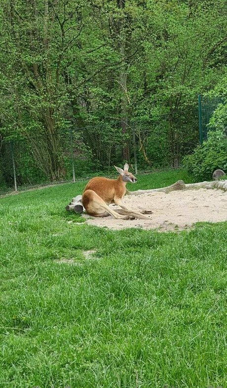 cocolinaa69 pornstar naked archive