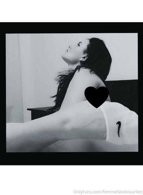 bellajuliafree nudes pornstar image