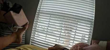 slimthickbrifree top actress gallery