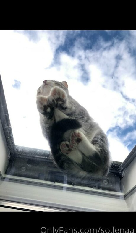 so lenaa model best archive