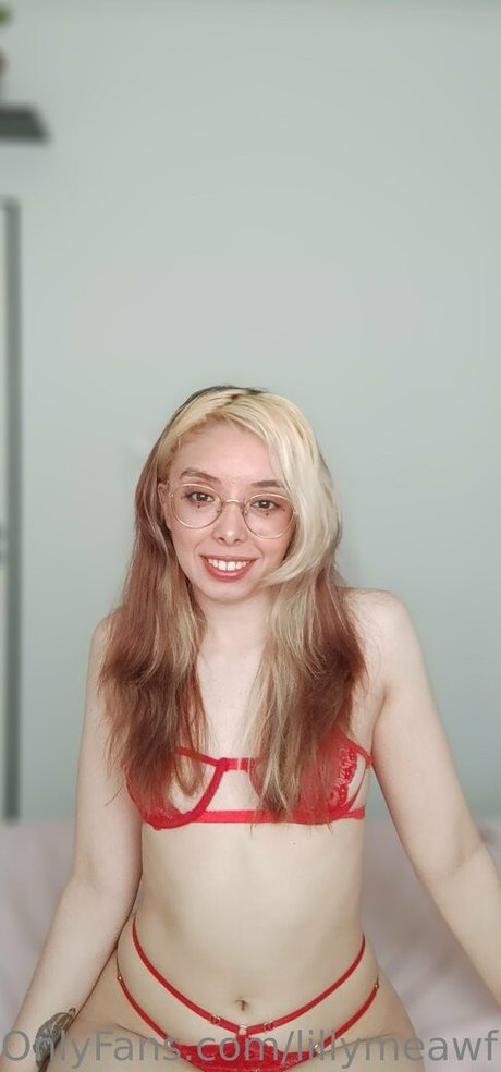 lillymeawfree star beautiful images