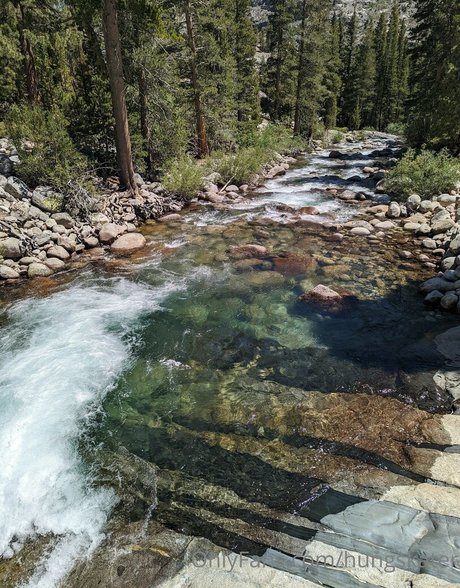 hungskater pornstar perfect img