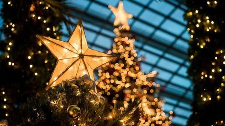 TupincheDiosa star nice picture