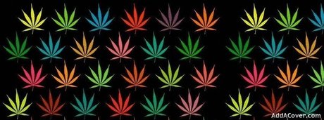 bert the IMPALER model beautiful image