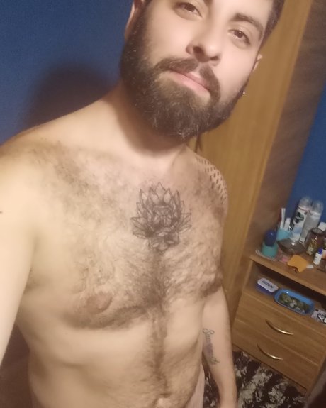 Armando Faso pretty star galleries