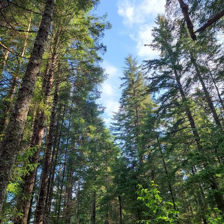 Armand William model nice picture