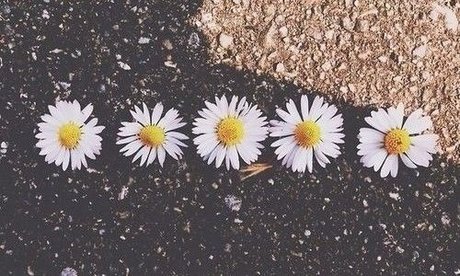 Arisaly Ortiz pretty actress img