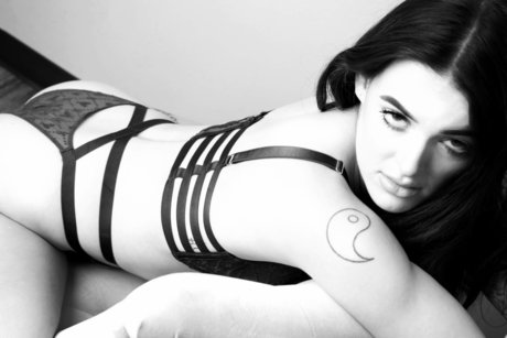 Amity Lacey hd pornstar galleries