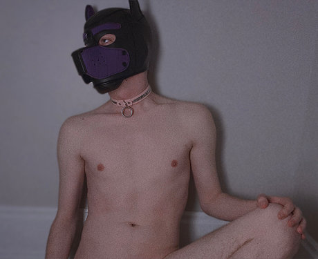 Altfixxx model art archive