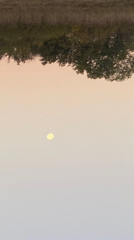 Giani pornographic star images