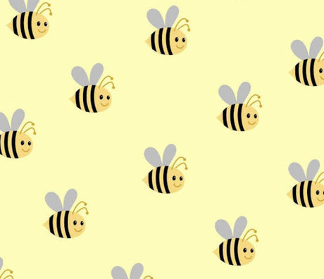 North Diamond adult model images