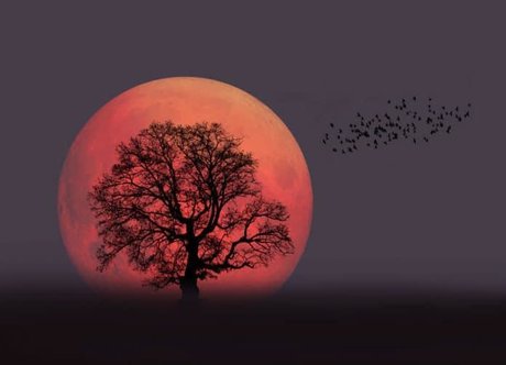 Your Favourite Pagan star porn pics