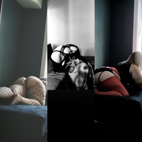 Norse BBW xxx star picture