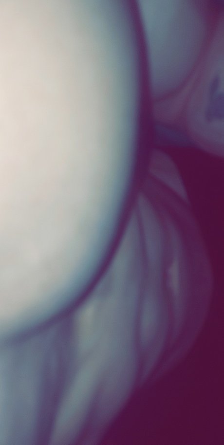 Alex Ban exclusive model image