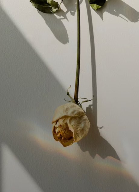 _Ally s Feet pornstar top images