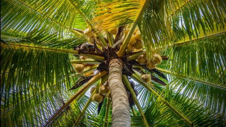 Eros Mezzanotte best model galleries