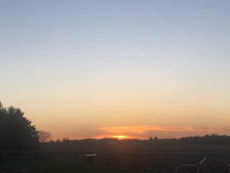 Nyssa Bell pornographic actress archive