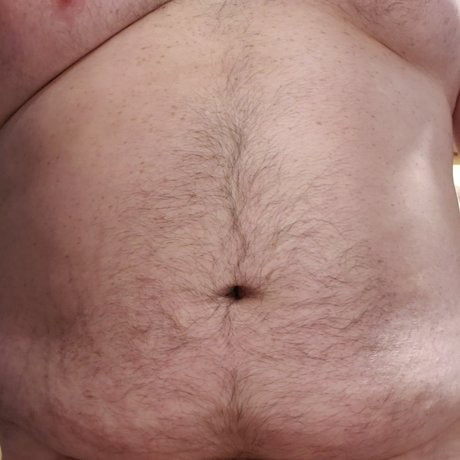 Adirondack Bear art star archive