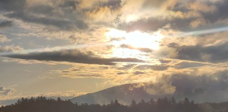 Adirondack Bear star exclusive pic