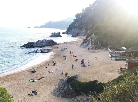 Nudism and Toys high quality pornstar gallery