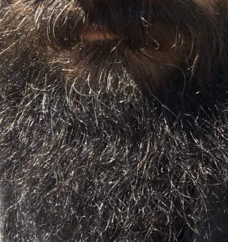 306 hardluck perfect actress image