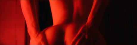 A L E S S O adult star photo